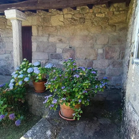 La Septima Ola Meis